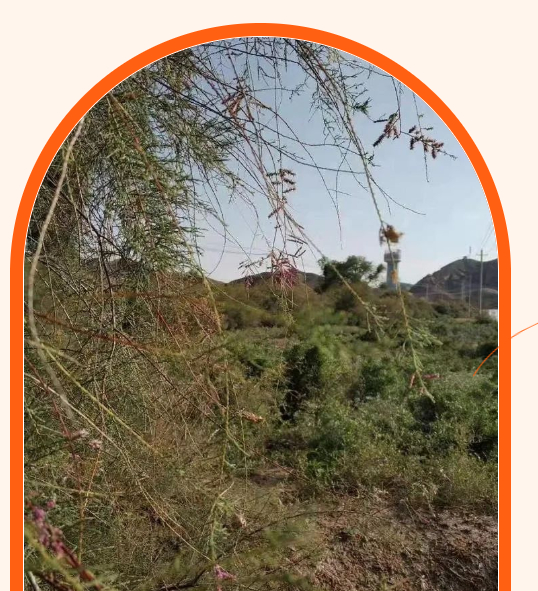 漂亮贾庄的图片 漂亮贾庄