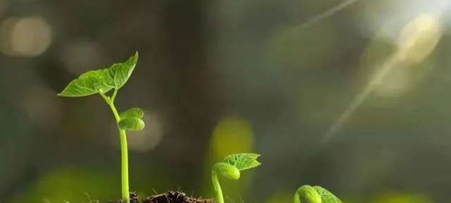 如果我们看到的是“孩子”的图片 如果我们看到的是“孩子”