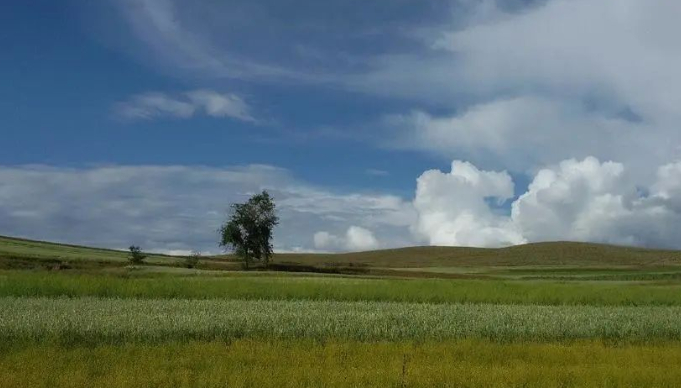 那道扎眼的风景的图片 那道扎眼的风景