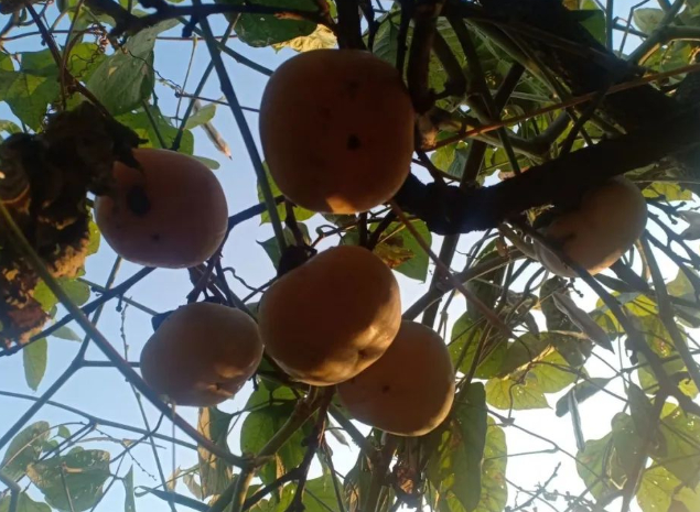 星辰之间的图片 星辰之间