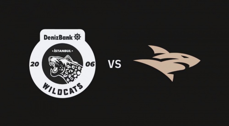 ?S12入围赛:ADD剑魔天降光芒万丈 ISG战胜IW