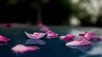 每一场青春里,都有一个民谣姑娘的图片 每一场青春里,都有一个民谣姑娘