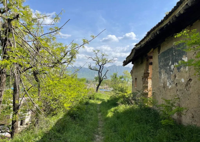 风和日丽,天蓝云白,绿树青草,四月好时节。的图片 风和日丽,天蓝云白,绿树青草,四月好时节。
