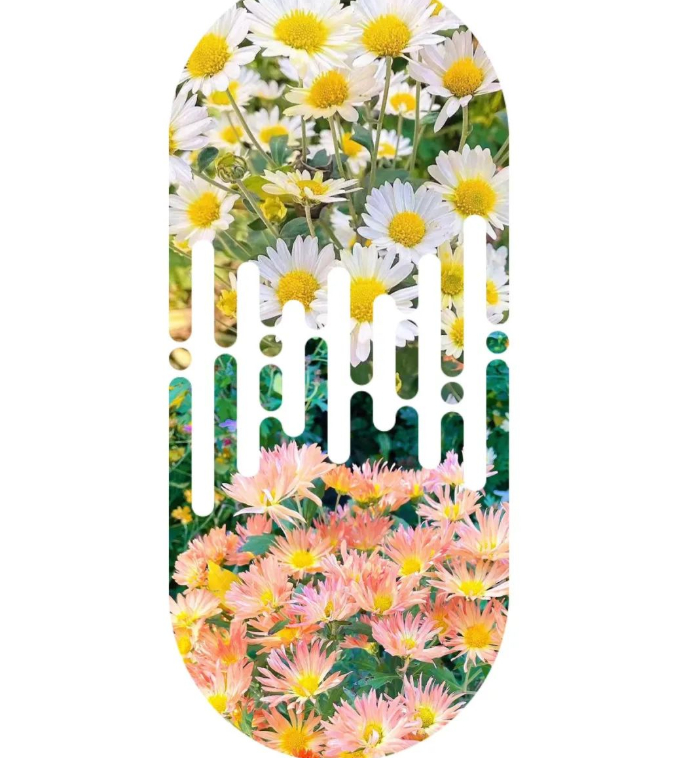 2022年的第一场雪的图片 2022年的第一场雪