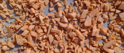 这是一个很好的秋日