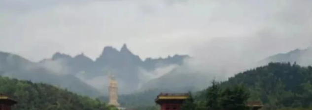 我与阳阳并肩向佛，我们没问，佛也没说