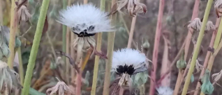 一代一代的我们的图片 一代一代的我们