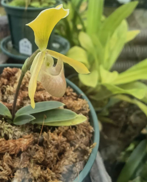 另外三篇周记的图片 另外三篇周记