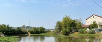 妈妈的图片 妈妈