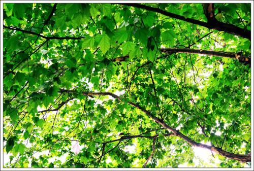 我们三年级啦!的图片 我们三年级啦!