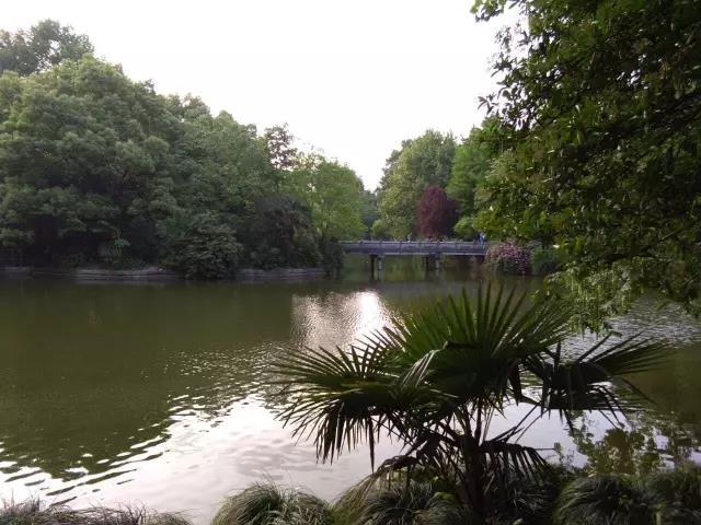 为了爱,“生”要延续下去(二)的图片 为了爱,“生”要延续下去(二)