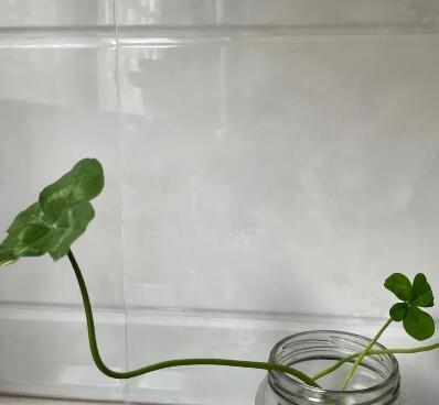 讨好了所有人的图片 讨好了所有人