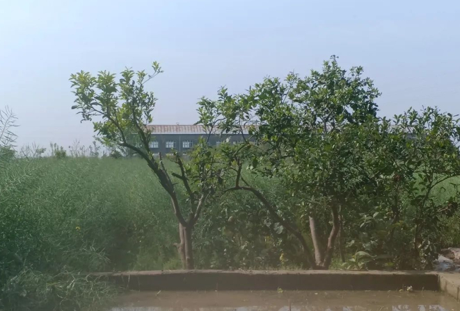 本来的样子的图片 本来的样子