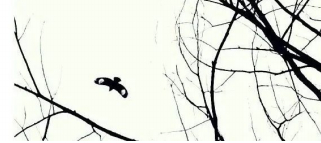 温柔的、温暖的的图片 温柔的、温暖的