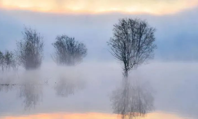 原来我也失去嗅觉了