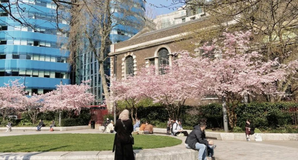 过冬天之冬天过去了|冬令时日记文学的图片 过冬天之冬天过去了|冬令时日记文学