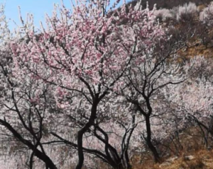 心中灯火不灭,才会有人为你添油的图片 心中灯火不灭,才会有人为你添油