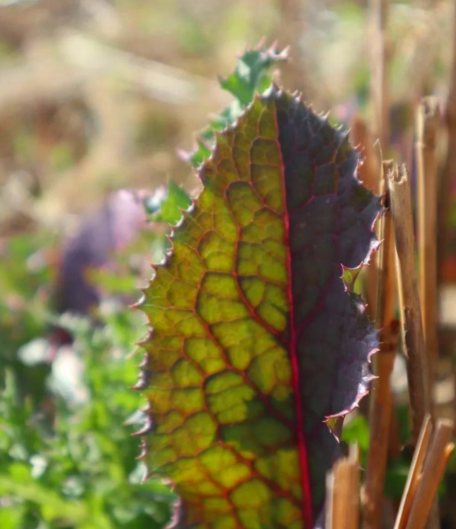 风景的图片 风景