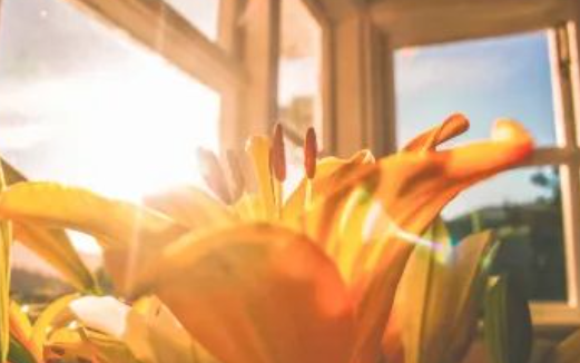 下一程我们会更好的图片 下一程我们会更好