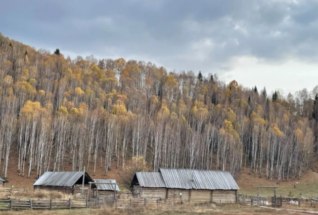 爱,没那么简单的图片 爱,没那么简单