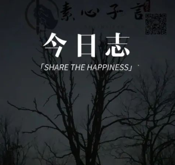 迷途羔羊的图片 迷途羔羊