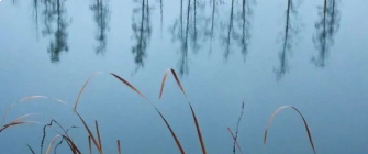 我也有和你一样亮晶晶的眼睛的图片 我也有和你一样亮晶晶的眼睛