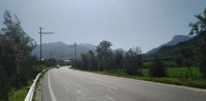 仲春随笔的图片 仲春随笔