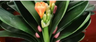 胡言乱语的图片 胡言乱语