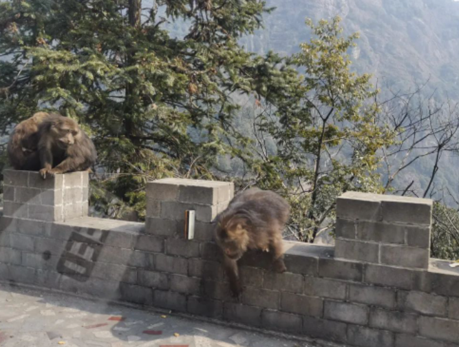 世上哪有驻颜术,唯有野蛮体魄 折腾自己的图片 世上哪有驻颜术,唯有野蛮体魄 折腾自己