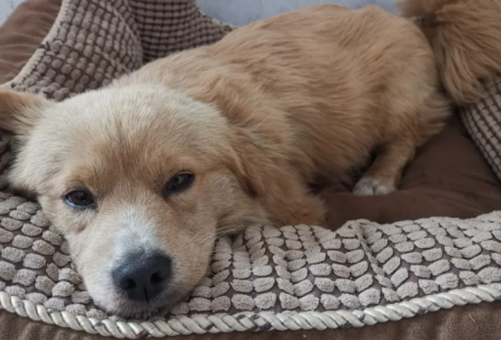 每个顽强活着的生命都应该得到尊重的图片 每个顽强活着的生命都应该得到尊重