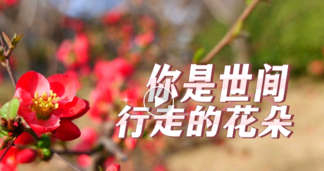 人有三个生命的图片 人有三个生命