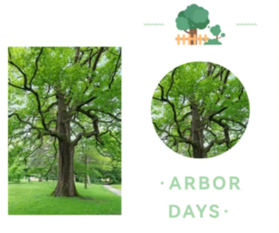 “植”此青绿,不负春光的图片 “植”此青绿,不负春光