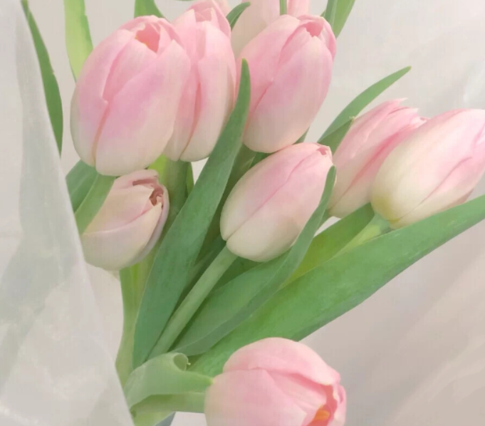 因为等你,多久都可以的图片 因为等你,多久都可以