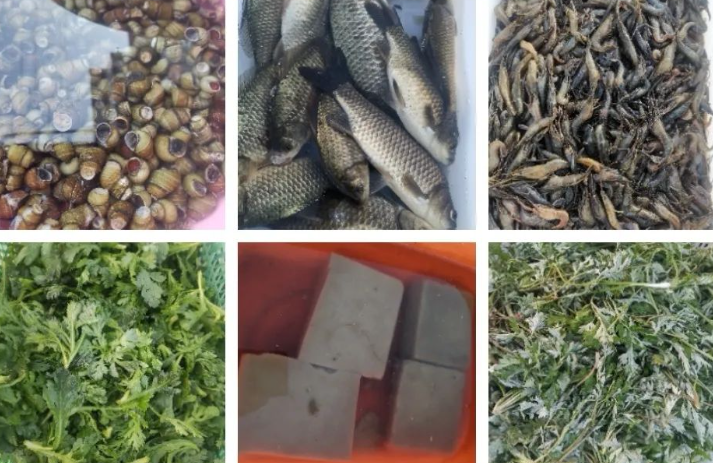 品味江南美食,便娶走了江南春天的图片 品味江南美食,便娶走了江南春天