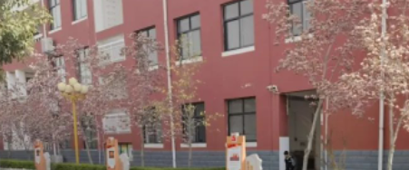 春有约，花不负