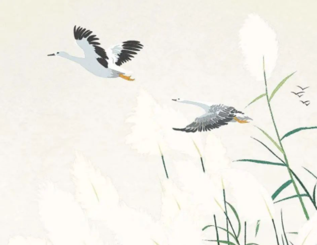 《诗经》之美到底 美在哪里的图片 《诗经》之美到底 美在哪里