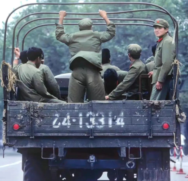 生活最好也是一袭绿衣,让一切顺其自然,让一切自然发生。的图片 生活最好也是一袭绿衣,让一切顺其自然,让一切自然发生。