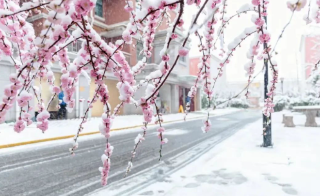 最美的相遇的图片 最美的相遇