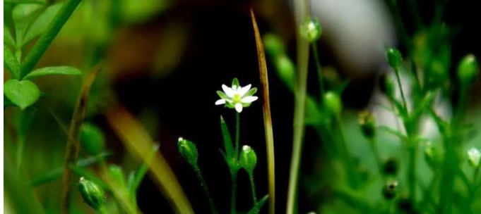 活着,本身就是自然的恩赐与希望!的图片 活着,本身就是自然的恩赐与希望!