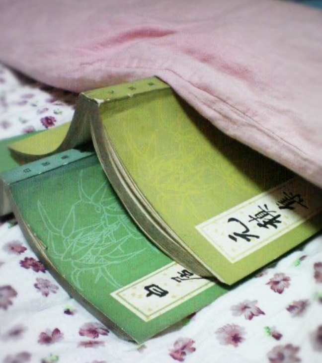 公元809年的春天,我的人设崩了。的图片 公元809年的春天,我的人设崩了。