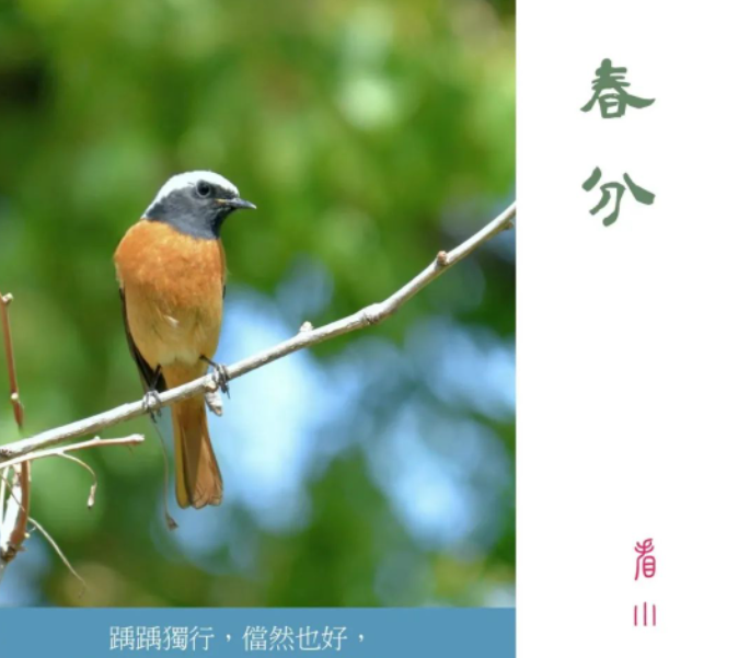 欢喜着,虚度着的图片 欢喜着,虚度着