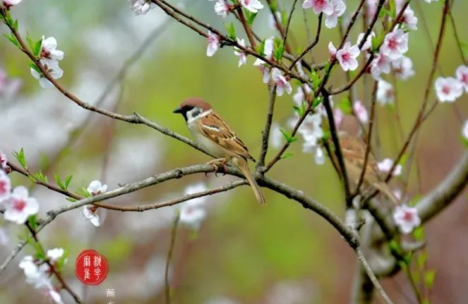 没有别的生活的图片 没有别的生活
