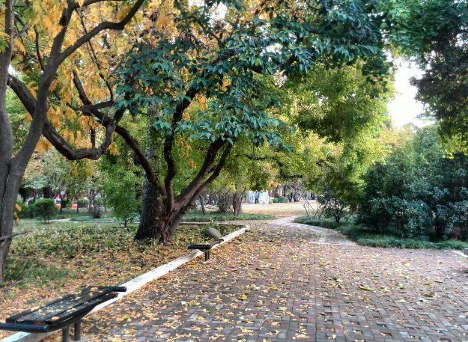 时光之永恒的图片 时光之永恒