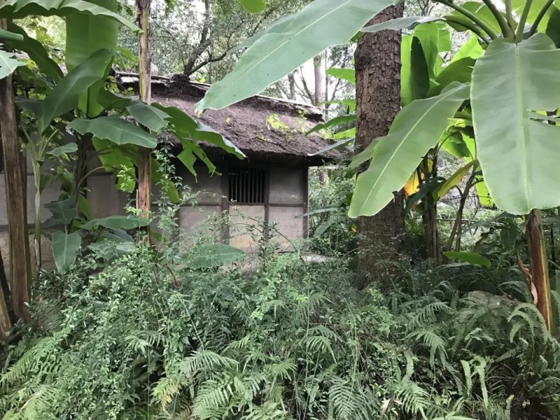 我看杜甫草堂的图片 第1张 我看杜甫草堂