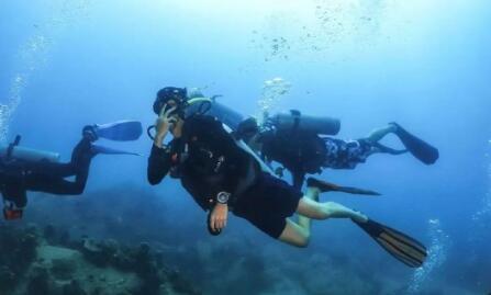 进步的图片 进步