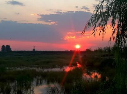 原野上的人间烟火 ——读《故乡的泥土》的图片 第1张 原野上的人间烟火 ——读《故乡的泥土》
