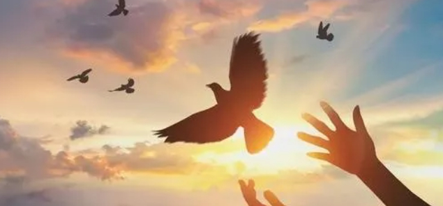 面对降维打击，你敢不努力吗？