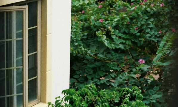 日子慢煮，事事粥全