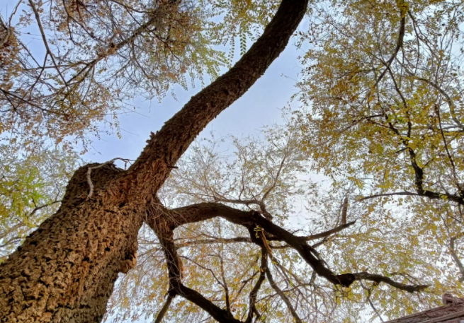 老宅老屋的图片 老宅老屋