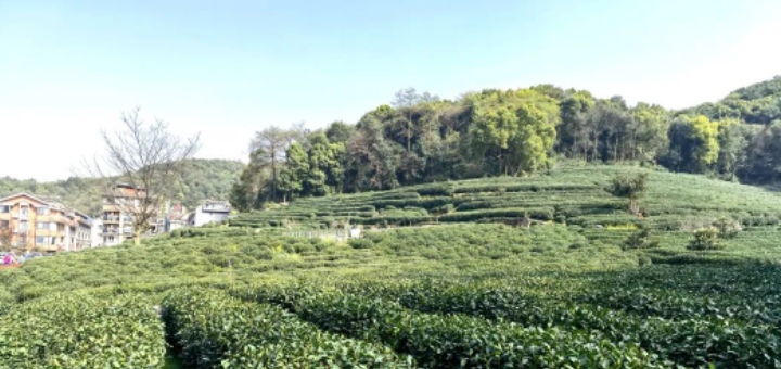 走进马家坞,既可以感受市井烟火,又能欣赏城市浪漫。的图片 走进马家坞,既可以感受市井烟火,又能欣赏城市浪漫。